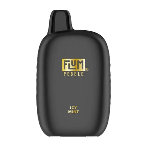 *FLUM Pebble Rechargeable Disposable [6000]