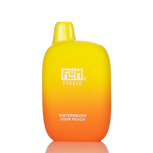 *FLUM Pebble Rechargeable Disposable [6000]