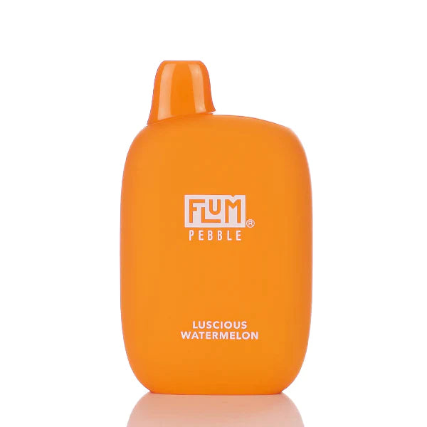 *FLUM Pebble Rechargeable Disposable [6000]